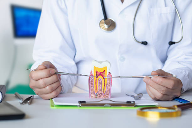 Best Emergency TMJ Treatment in Jamestown, OH